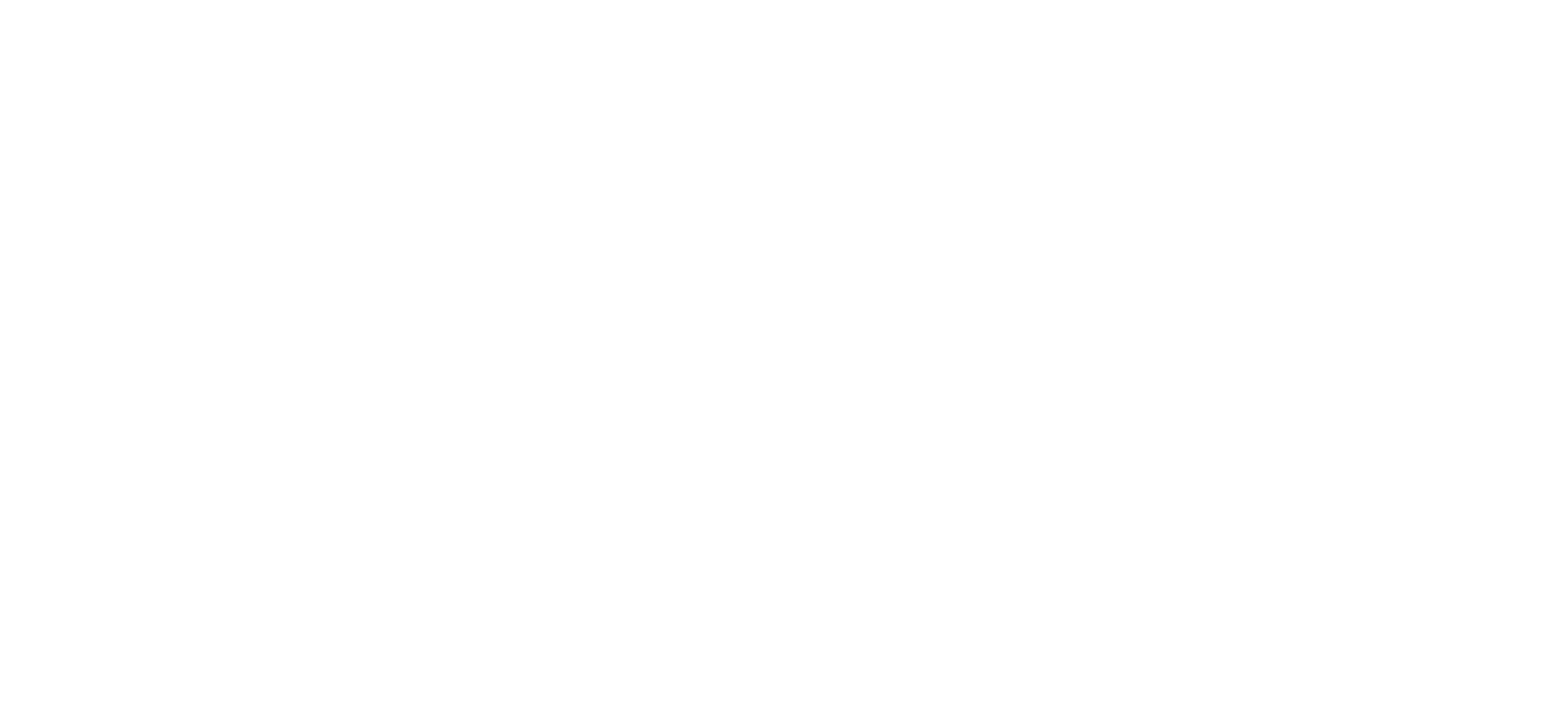 CopyHawk logo